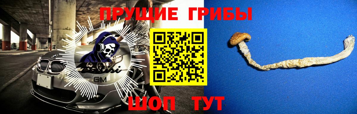 Галлюциногенные грибы Psilocybe Златоуст